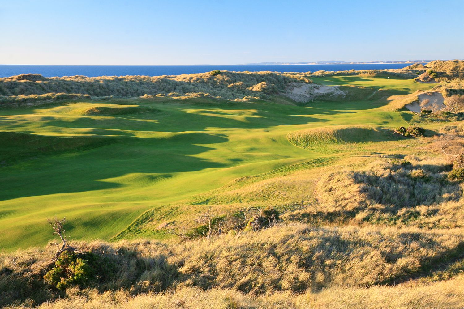 Barnbougle Dunes Golf Course | New Zealand Golf Tours