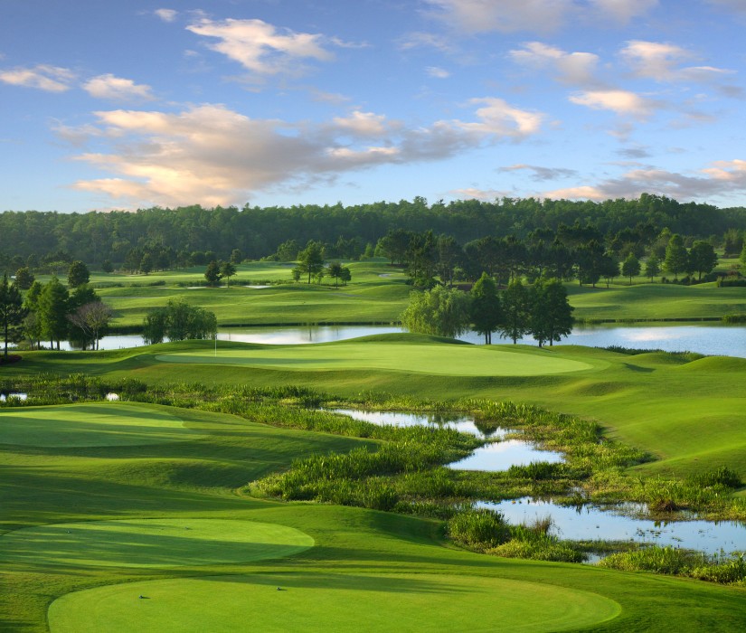 Shingle Creek