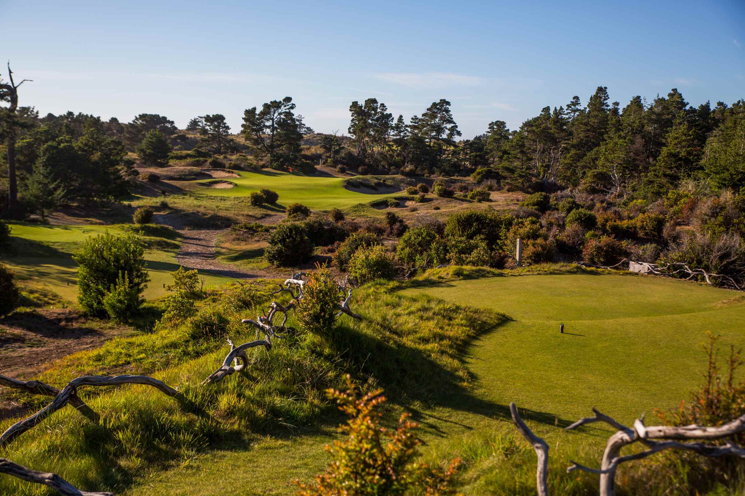 Bandon Trails